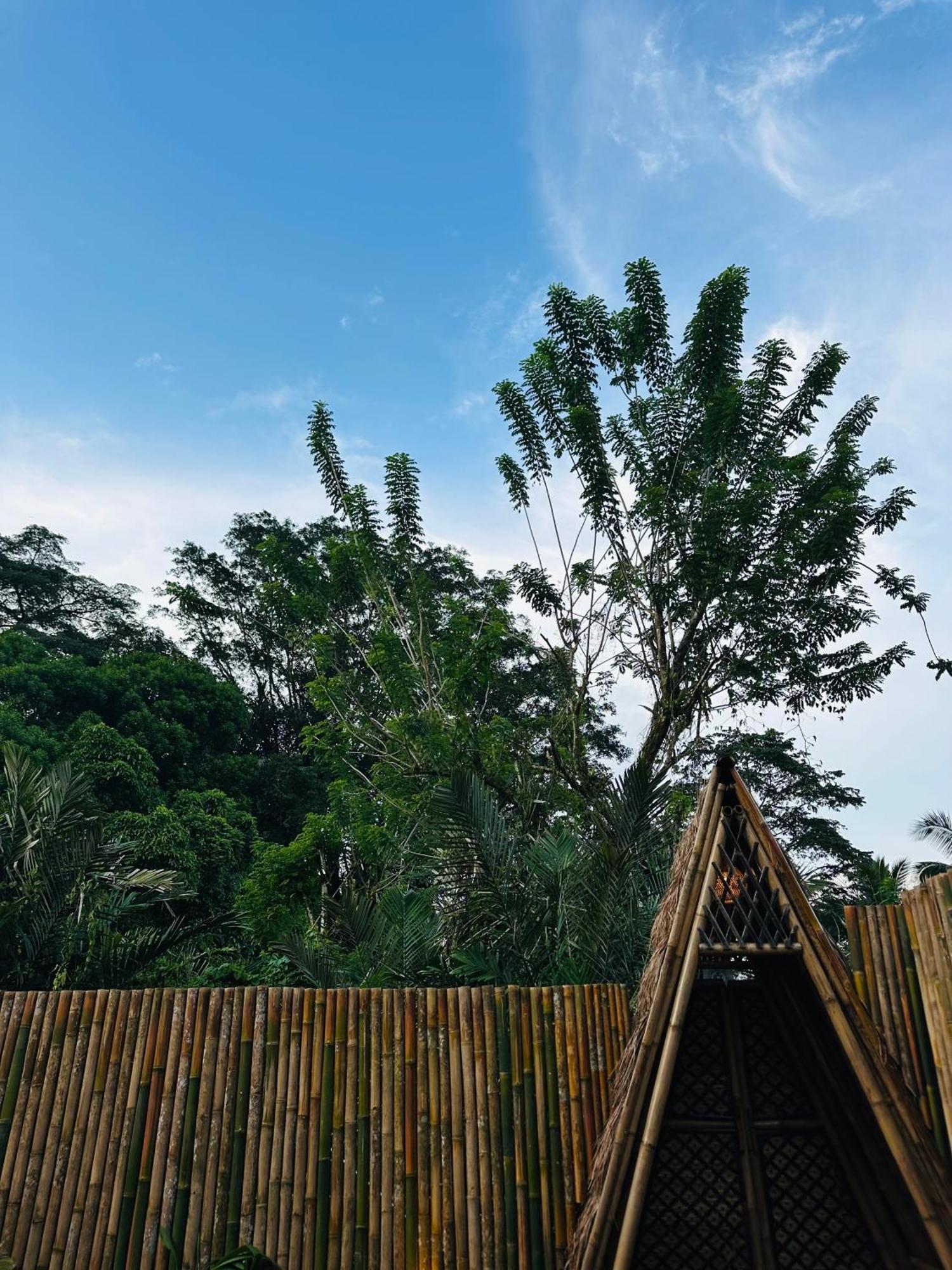 Вилла Bamboo House - Ecobreeze Сидемен Экстерьер фото